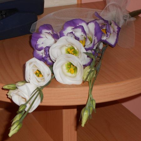 Hotel Vittoria Benewent Zewnętrze zdjęcie