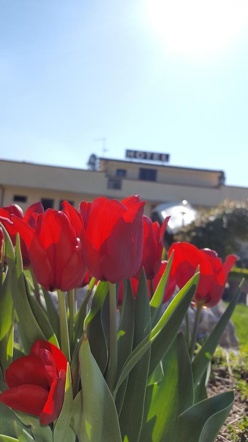 Hotel Vittoria Benewent Zewnętrze zdjęcie